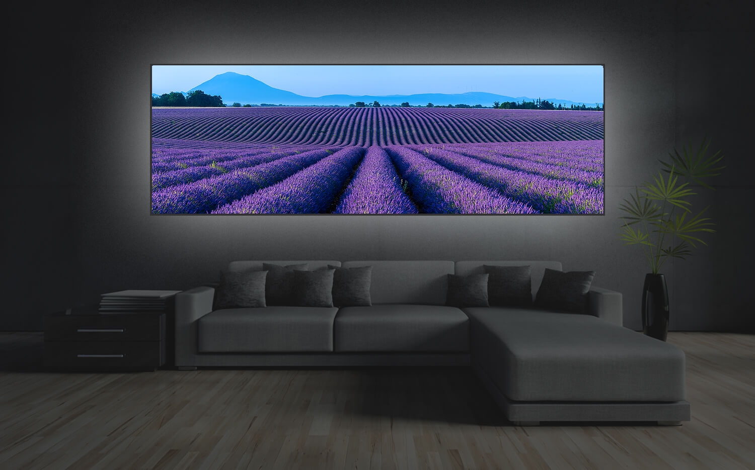 Ausführung der in 40cm Frankreich o. Leinwand Grösse Küchenspiegel (3:1) Provence x 120 Wandbild Lavendel Canvas